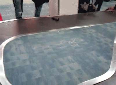 tumblr_mcmnzv01VE1qdtqmi.gif