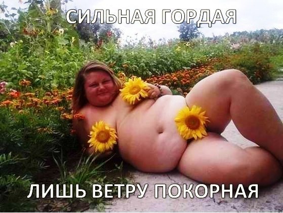 RXKyNWAwL1M.jpg