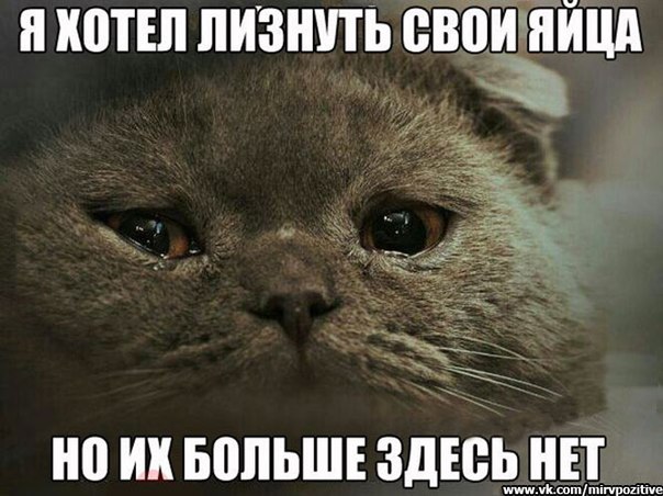 J53Ff4dVW3s.jpg