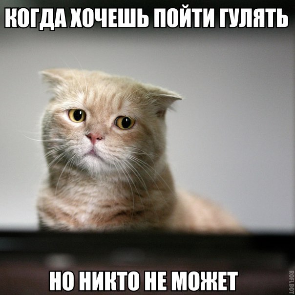 GsKYXk8QruI.jpg