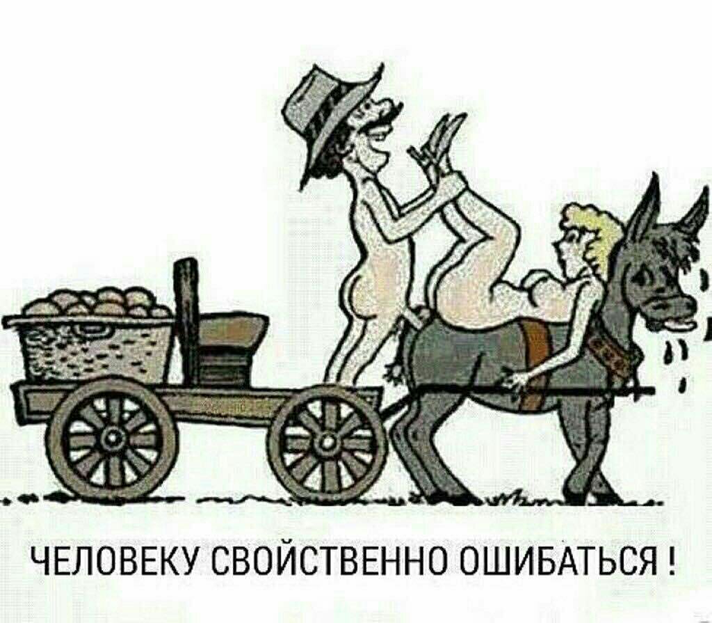 365998e2e39b245293667da4cd62e278.jpg
