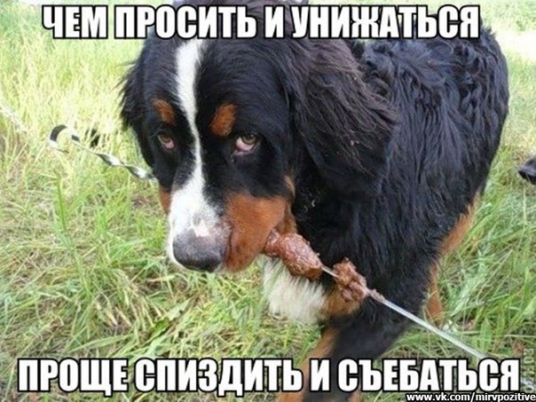 _EVLUf_F5rs.jpg