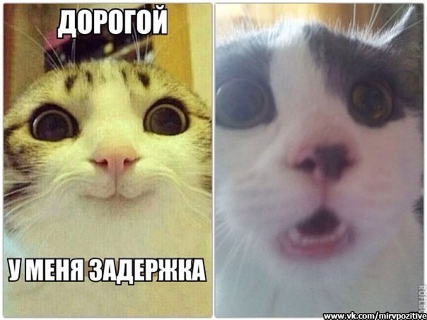 1paTlpaRXOY.jpg