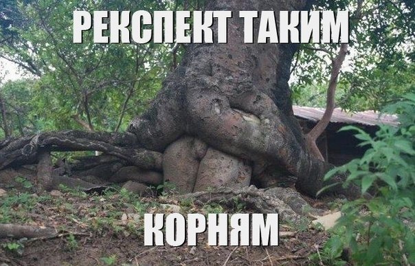 dnardyMTqRU.jpg