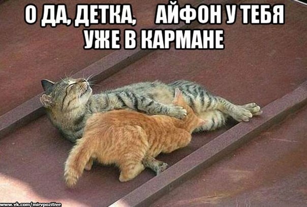EfobWweXrX4.jpg