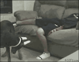 tumblr_m3hcafQKvv1qdlh1io1_400.gif