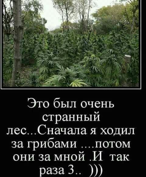 8202fb707aa897d952f6c58fdac02df9.jpg
