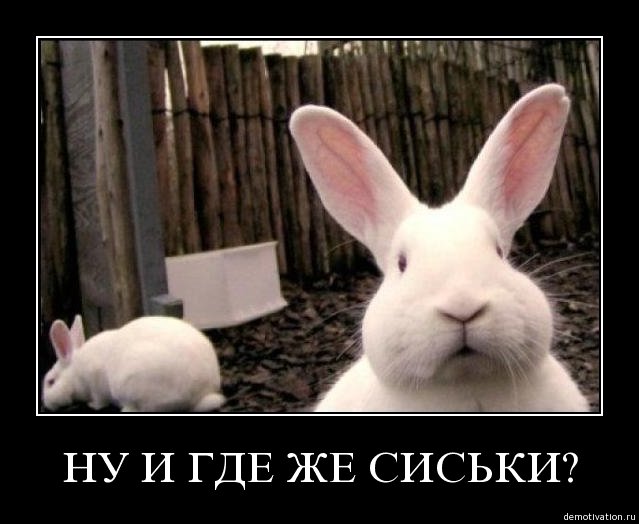 c516d0301b1df38dc43a5d5719ef592b.jpg
