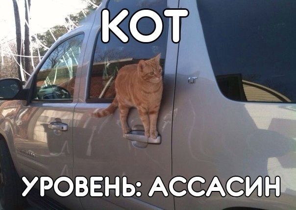 kt0Bw7-HV9E.jpg