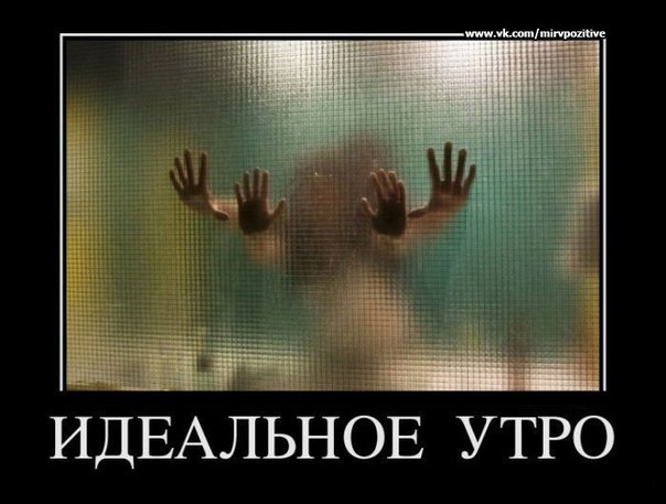 zLtXuAdOSlU.jpg