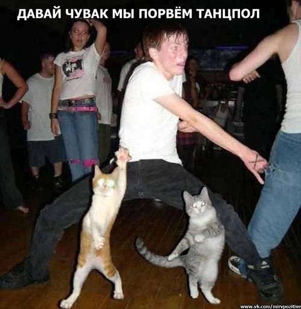 DkNPJ3jE6V8.jpg