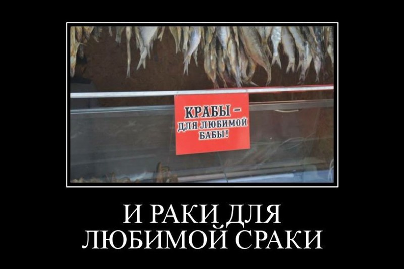 20_image.jpg