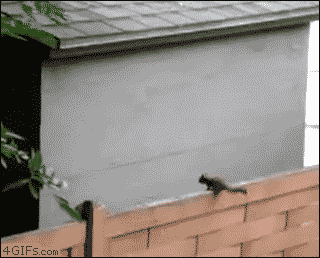 tumblr_m3fmnjClXi1qdlh1io1_400.gif