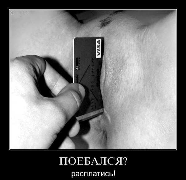 Q6IfqcOWO9U.jpg