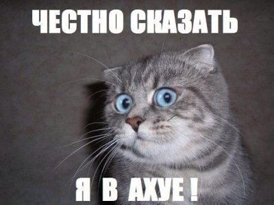 8y7VTH4SqmQ.jpg