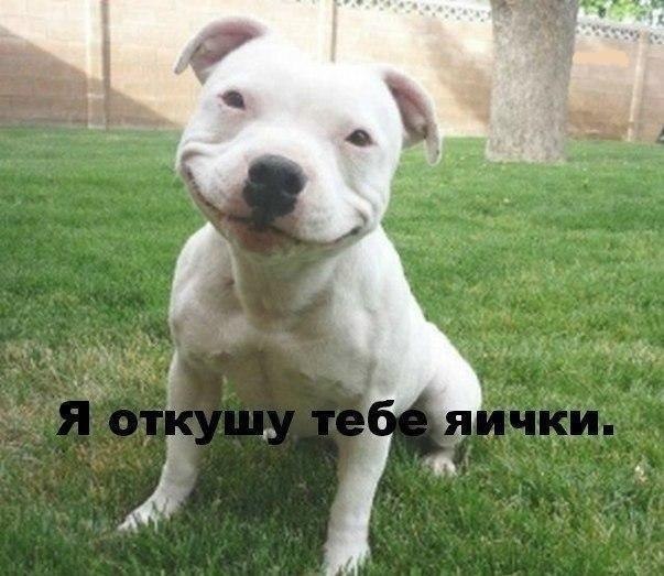 ZtXrqj4ZYWw.jpg