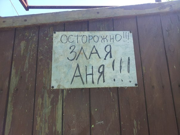 GnvOlbyM6m4.jpg