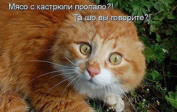 vG-To7i0ZE4.jpg