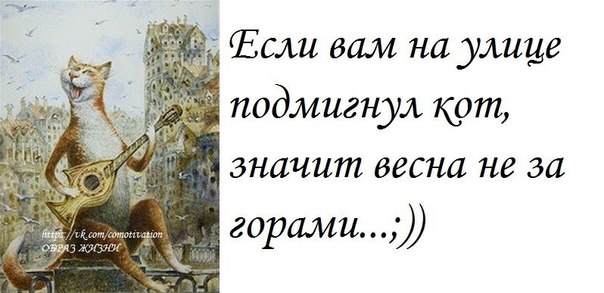 DRrdeZd9bbk.jpg