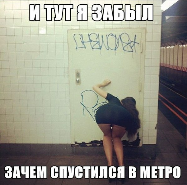 ykKqAmKbrBk.jpg