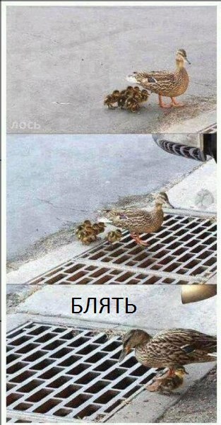 4idGVMi2qJE.jpg