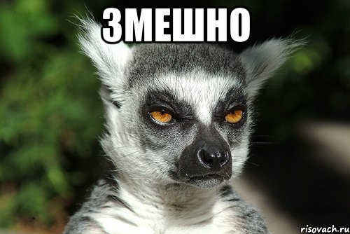 F3Gkjo0Y0Mw.jpg
