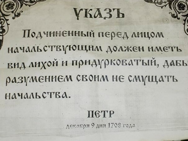 h-245.jpg