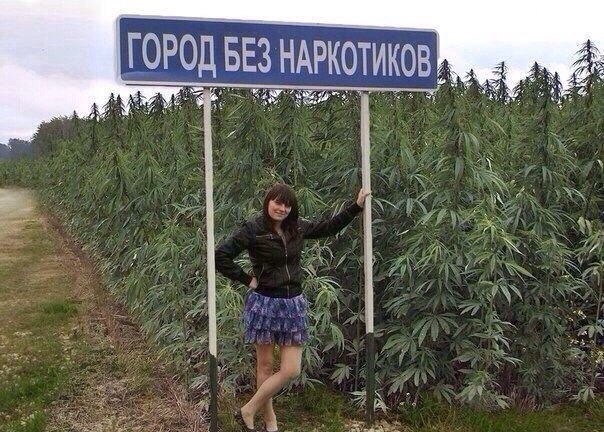 OXqpuFZLR6U.jpg