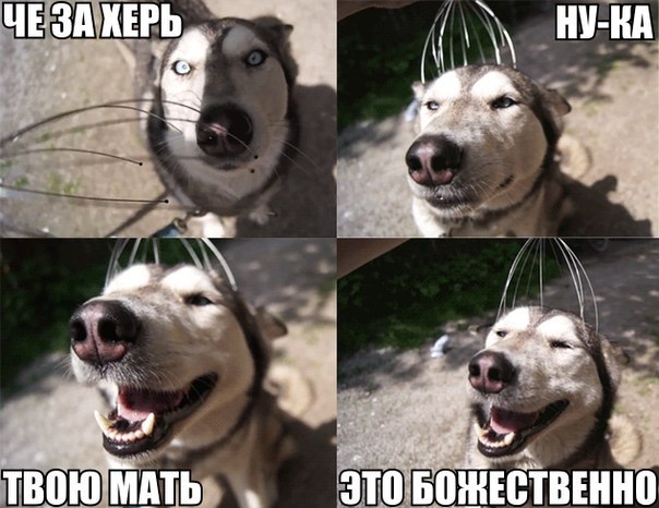 yEn4TjNIs1Y.jpg