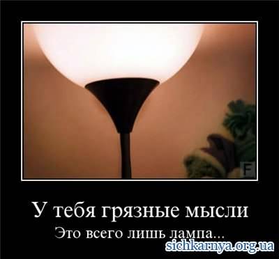m3XYTFREL1Q.jpg