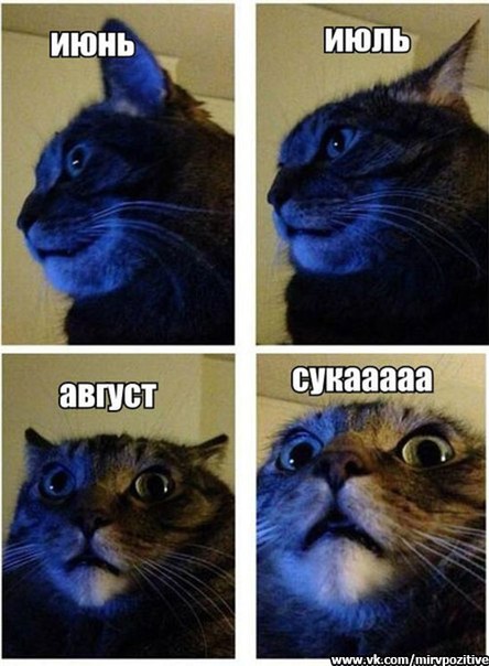 8yszEJBhRV4.jpg