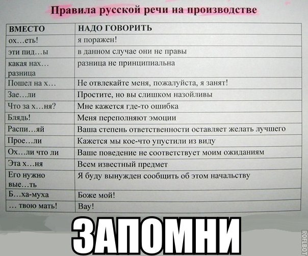 x73Qkn63Pgw.jpg