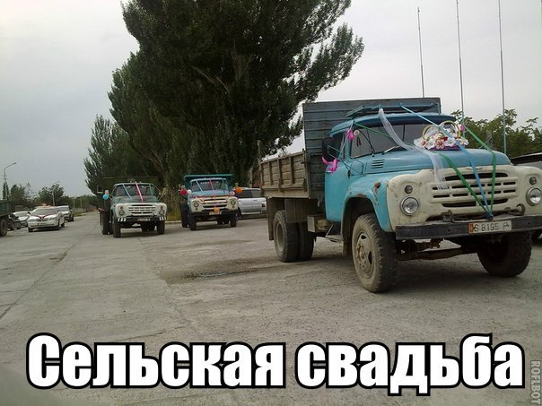 vioTWq3kEHY.jpg