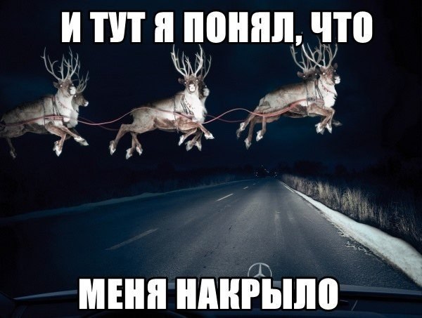 vDxQZD77FFU.jpg