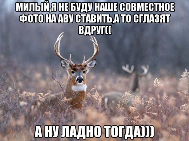 zgM36wqujUM.jpg
