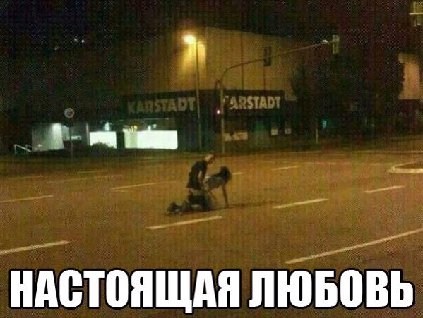 cLFvAQsovrw.jpg
