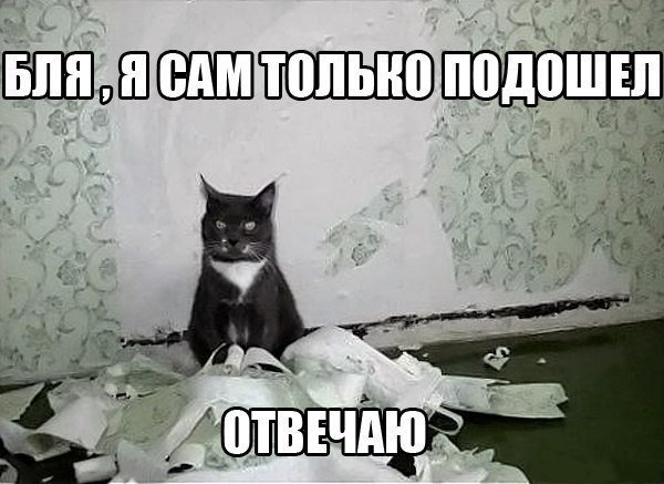 MU5Xq0QmyhI.jpg