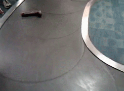 tumblr_mcmo0a5wJa1qdtqmi.gif