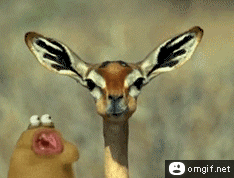 tumblr_m3se5uYCfS1qmjzczo1_250.gif