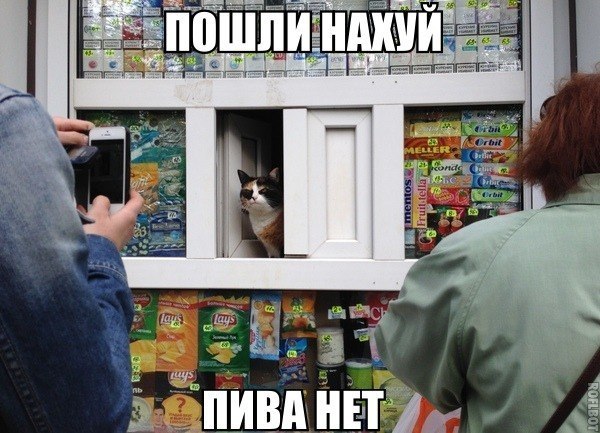VdWl3cTT9W0.jpg