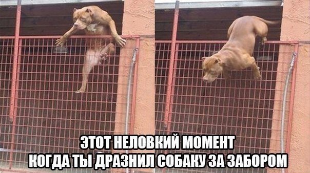 J2Haw4ezTqA.jpg