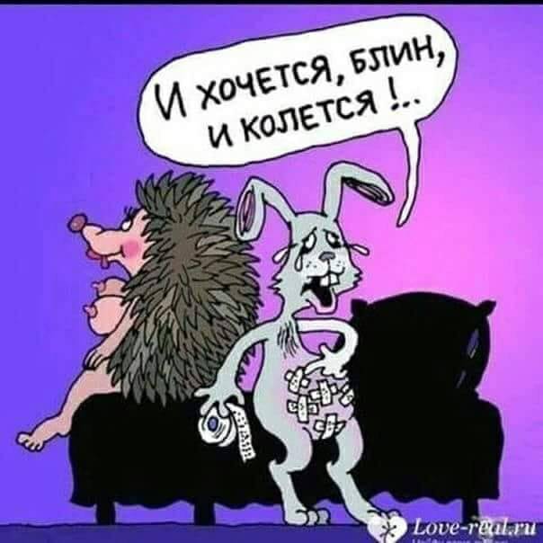 36635117c03fc9043dd75bea7554e278.jpg