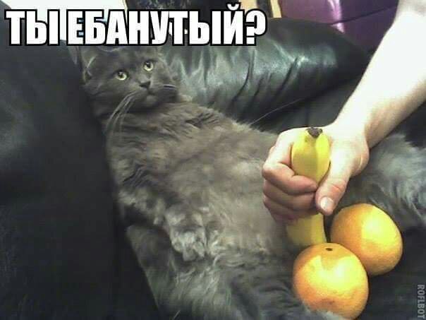 8f8d36b48f89c3b128960cd2617bb378.jpg