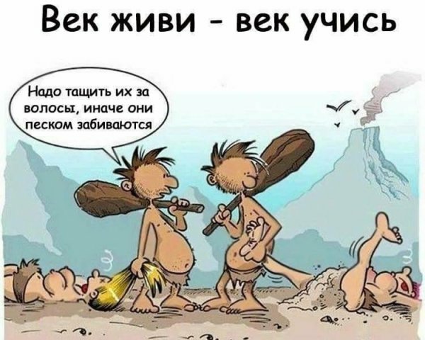 7336faab624546f9c1569806a97f60fb.jpg