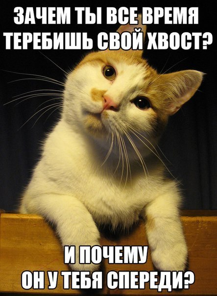 OLgxJdWr01k.jpg