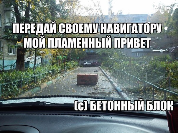 L1dbR5gDy2Y.jpg