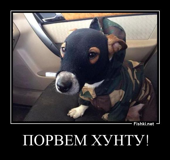 b870e4fa133455153cbea047eff5c803.jpg