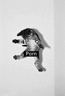 yUINXFbVkQk.jpg