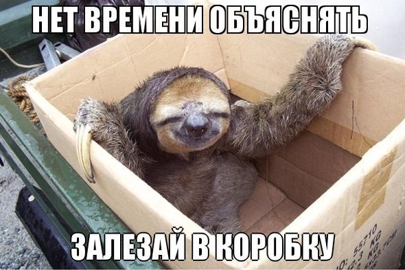 dSbQ0LzivLg.jpg