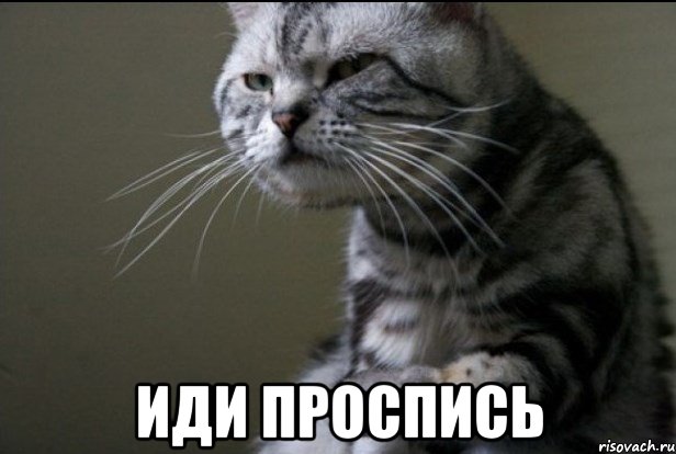 nu-chto-ty-nesesh_21120681_orig_.jpeg